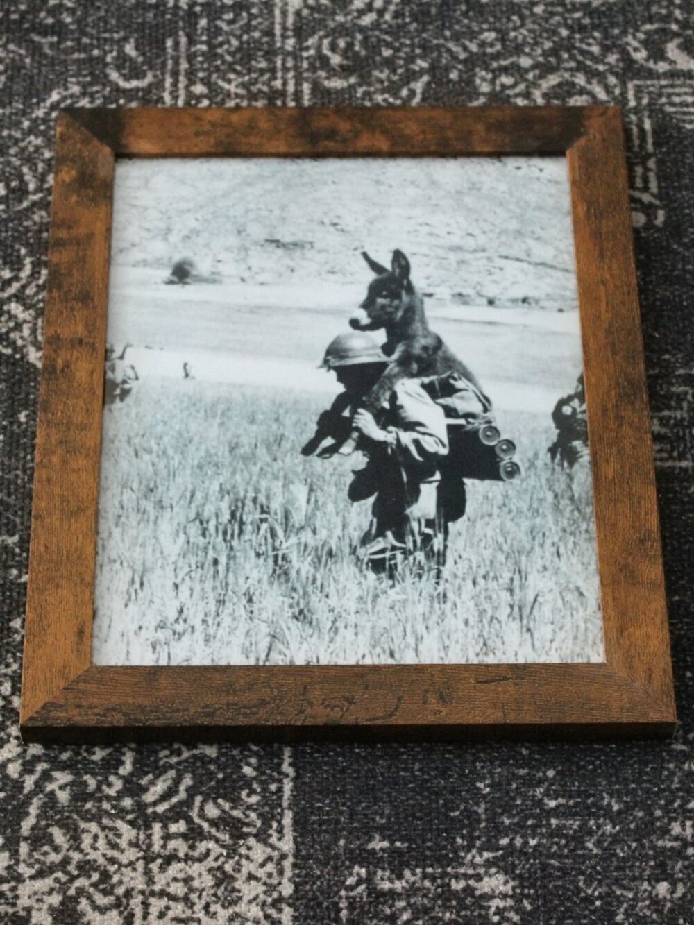 Framed 8x10 Vintage French Foreign Legion & Donkey Photo - History Decor